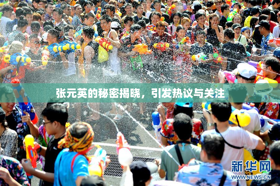 张元英的秘密揭晓，引发热议与关注