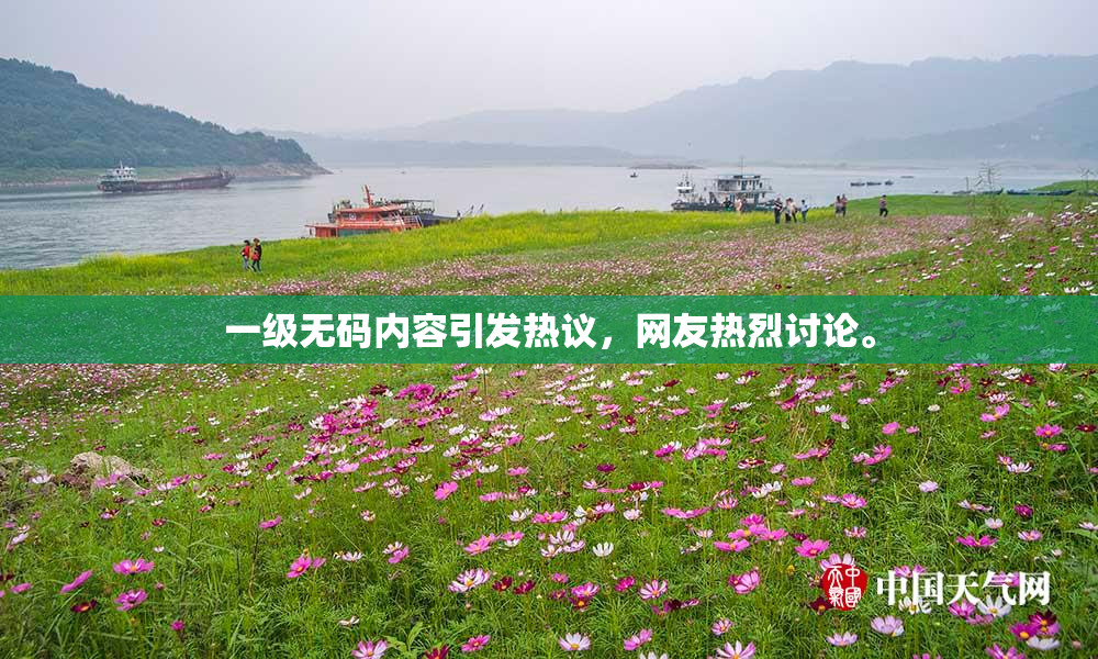 一级无码内容引发热议，网友热烈讨论。