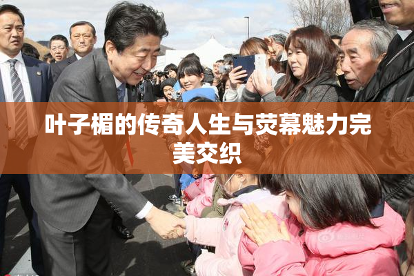 叶子楣的传奇人生与荧幕魅力完美交织