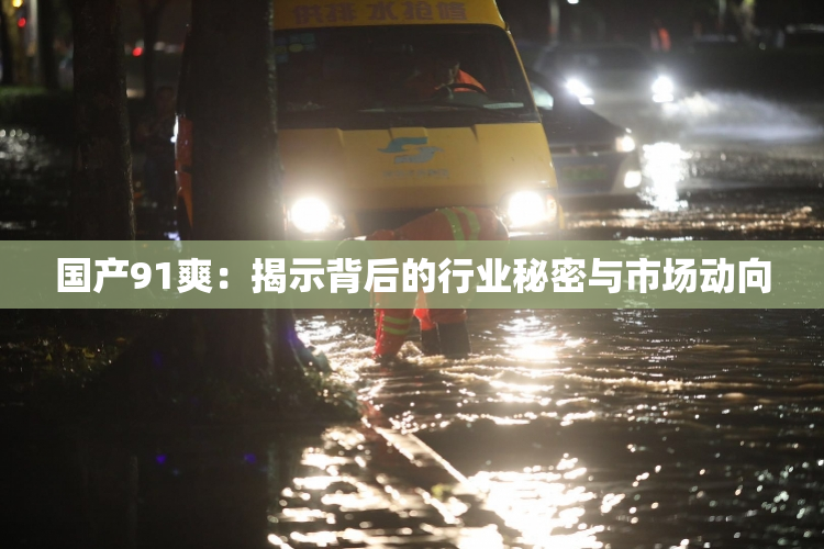 国产91爽：揭示背后的行业秘密与市场动向