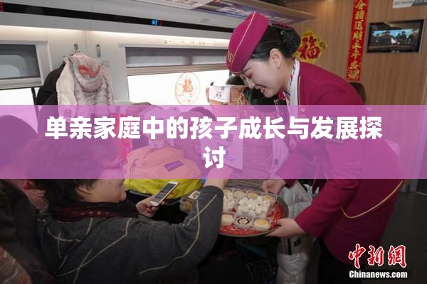单亲家庭中的孩子成长与发展探讨