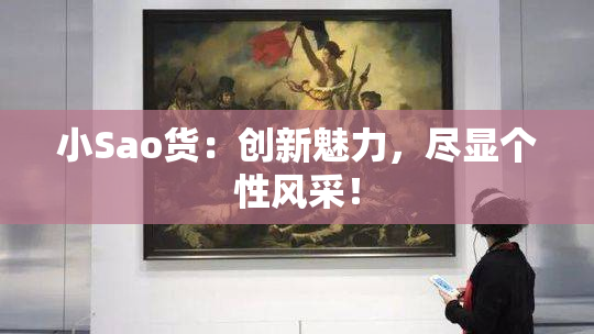 小Sao货：创新魅力，尽显个性风采！