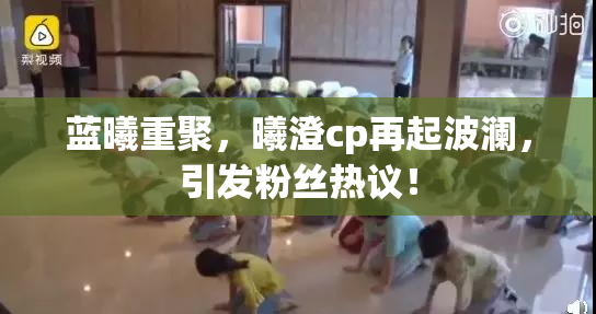 蓝曦重聚，曦澄cp再起波澜，引发粉丝热议！