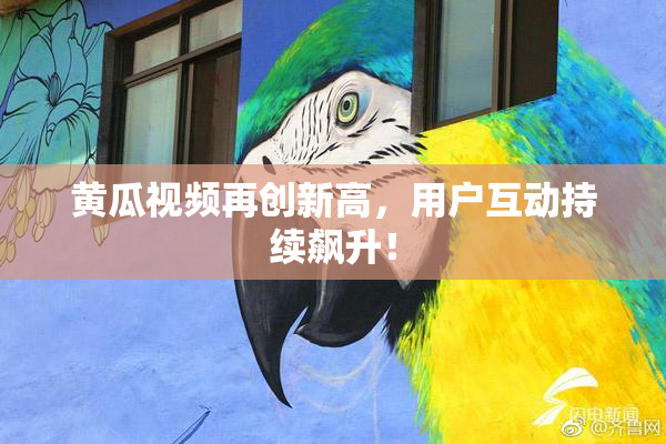 黄瓜视频再创新高，用户互动持续飙升！
