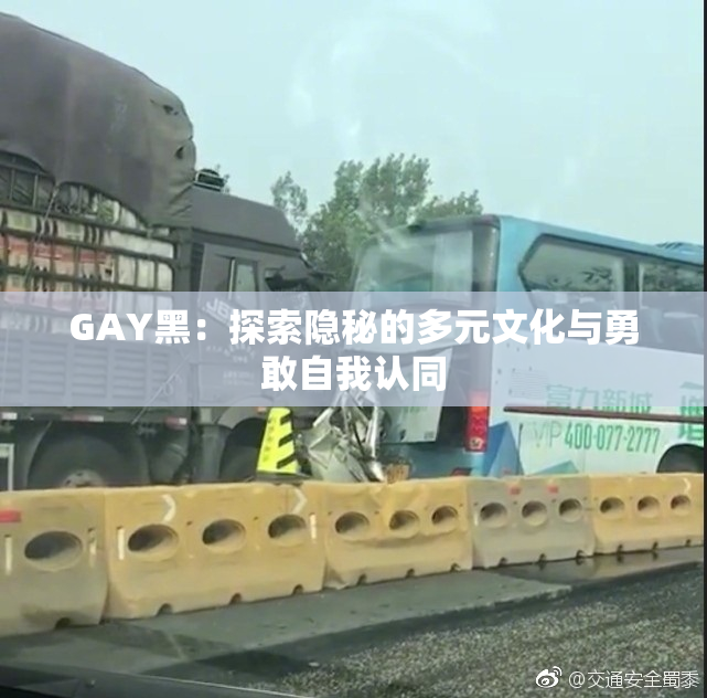 GAY黑：探索隐秘的多元文化与勇敢自我认同