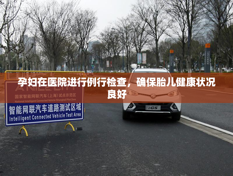 孕妇在医院进行例行检查，确保胎儿健康状况良好