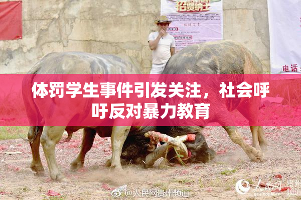 体罚学生事件引发关注，社会呼吁反对暴力教育