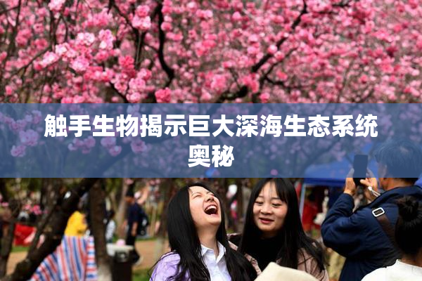 触手生物揭示巨大深海生态系统奥秘