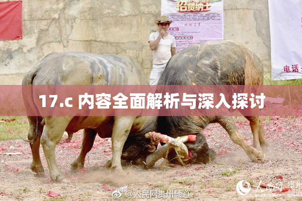 17.c 内容全面解析与深入探讨