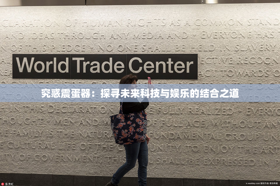 究惑震蛋器：探寻未来科技与娱乐的结合之道
