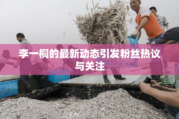 李一桐的最新动态引发粉丝热议与关注