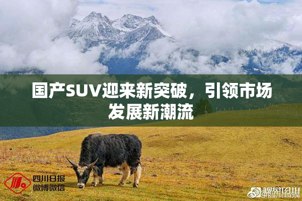国产SUV迎来新突破，引领市场发展新潮流