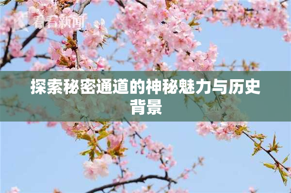 探索秘密通道的神秘魅力与历史背景