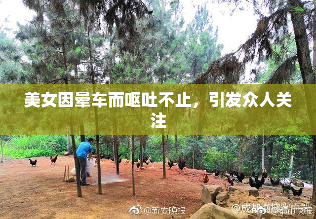 美女因晕车而呕吐不止，引发众人关注