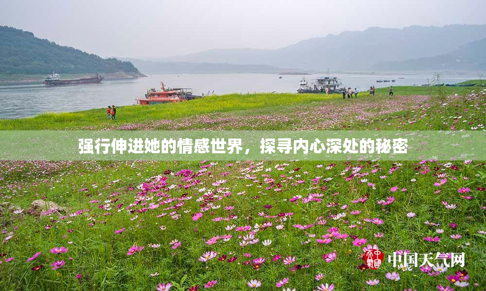 强行伸进她的情感世界，探寻内心深处的秘密