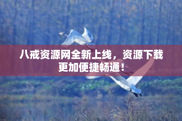 八戒资源网全新上线，资源下载更加便捷畅通！