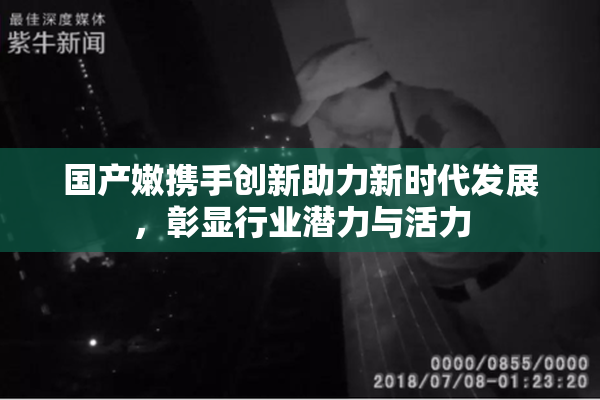 国产嫩携手创新助力新时代发展，彰显行业潜力与活力