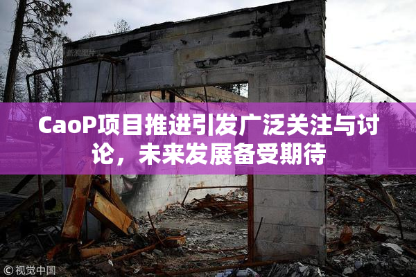 CaoP项目推进引发广泛关注与讨论，未来发展备受期待