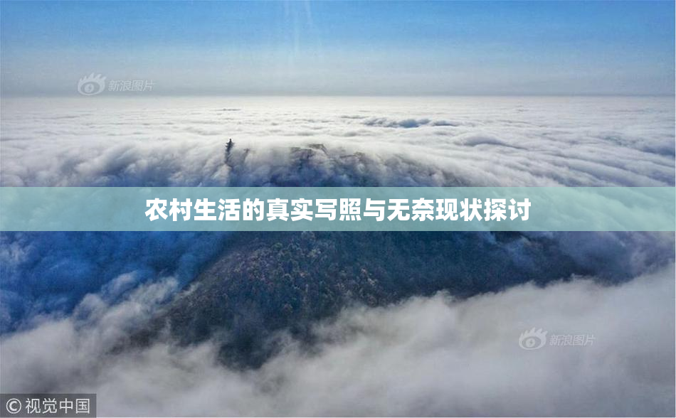 农村生活的真实写照与无奈现状探讨