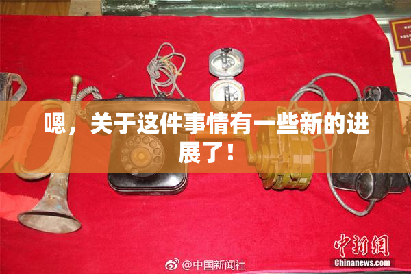 嗯，关于这件事情有一些新的进展了！