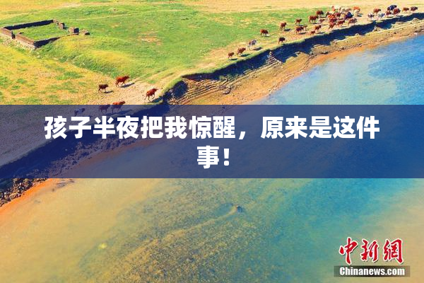 孩子半夜把我惊醒，原来是这件事！