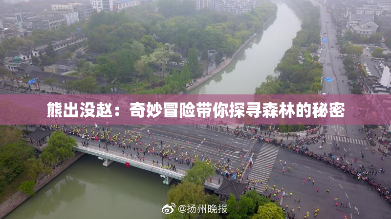 熊出没赵：奇妙冒险带你探寻森林的秘密
