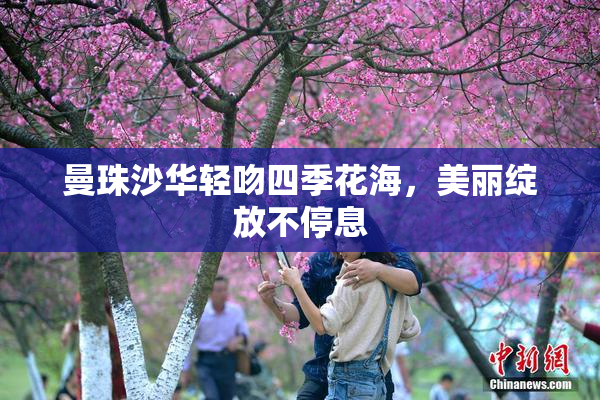 曼珠沙华轻吻四季花海，美丽绽放不停息