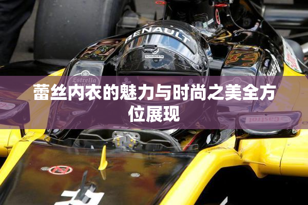 蕾丝内衣的魅力与时尚之美全方位展现