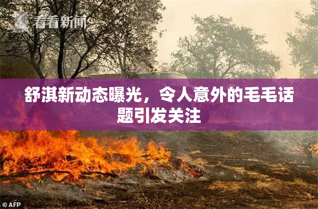 舒淇新动态曝光，令人意外的毛毛话题引发关注