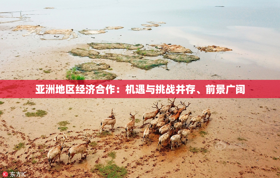 亚洲地区经济合作：机遇与挑战并存、前景广阔