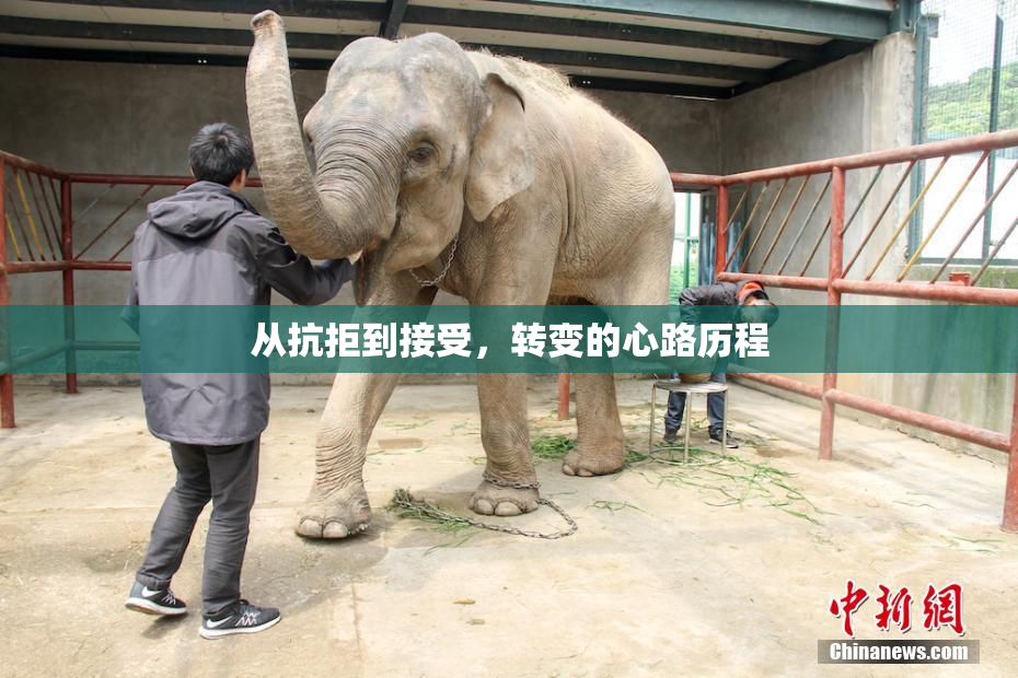 从抗拒到接受，转变的心路历程