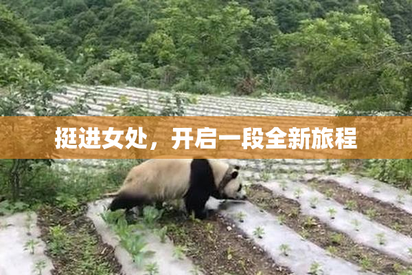 挺进女处，开启一段全新旅程