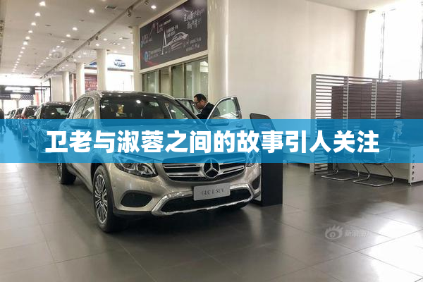 卫老与淑蓉之间的故事引人关注