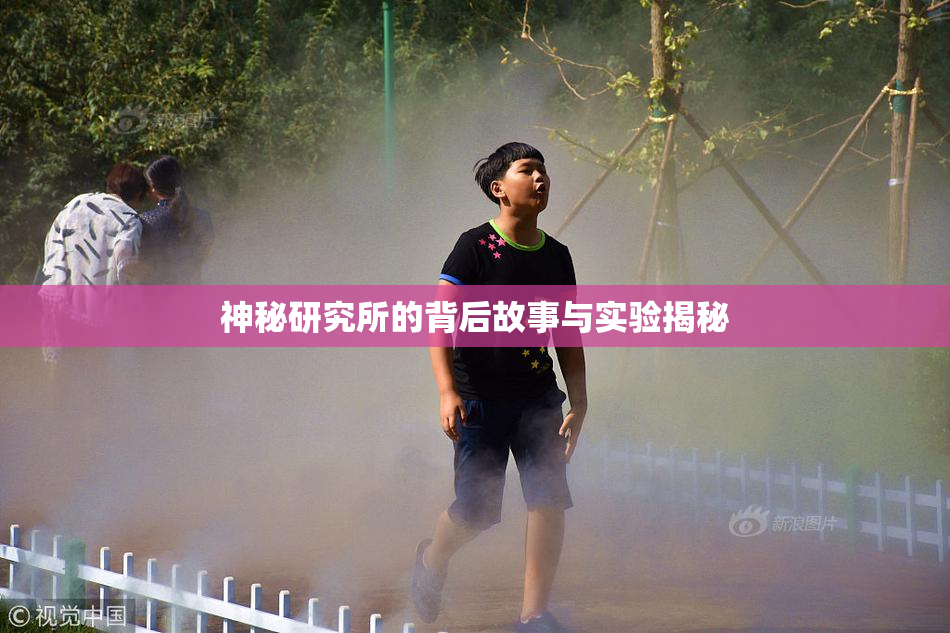 神秘研究所的背后故事与实验揭秘