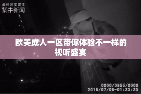 欧美成人一区带你体验不一样的视听盛宴