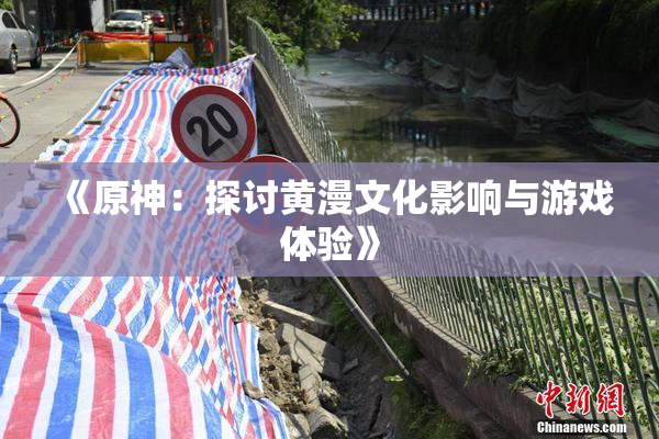 《原神：探讨黄漫文化影响与游戏体验》