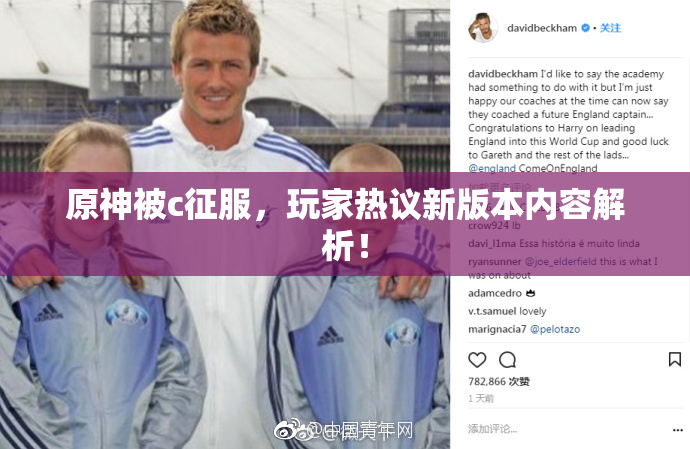 原神被c征服，玩家热议新版本内容解析！