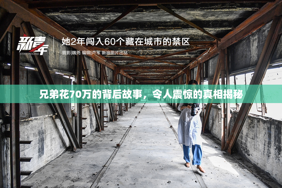 兄弟花70万的背后故事，令人震惊的真相揭秘
