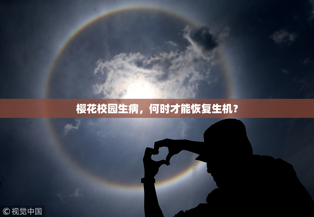 樱花校园生病，何时才能恢复生机？