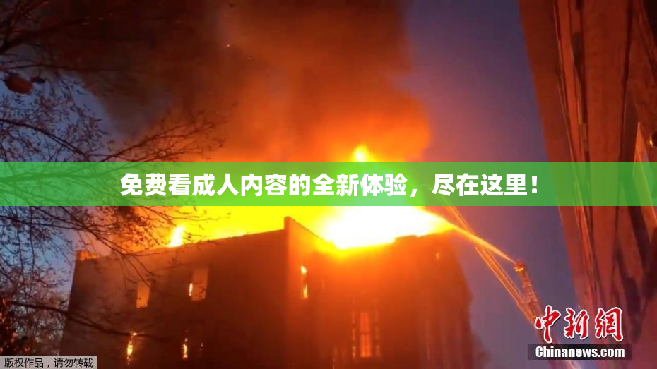 免费看成人内容的全新体验，尽在这里！