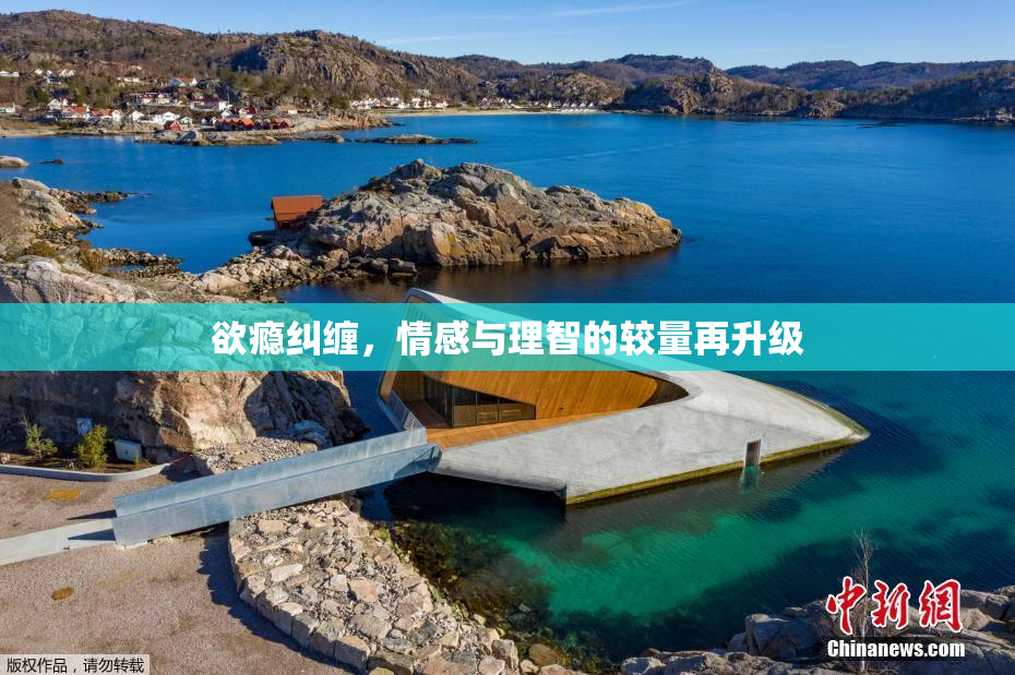 欲瘾纠缠，情感与理智的较量再升级