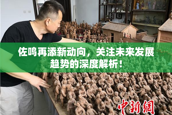 佐鸣再添新动向，关注未来发展趋势的深度解析！