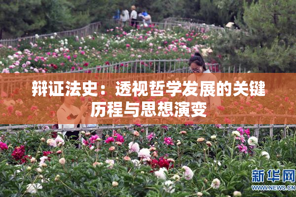 辩证法史：透视哲学发展的关键历程与思想演变