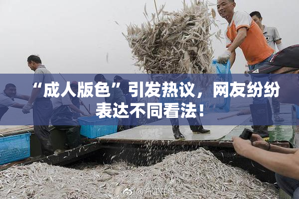 “成人版色”引发热议，网友纷纷表达不同看法！