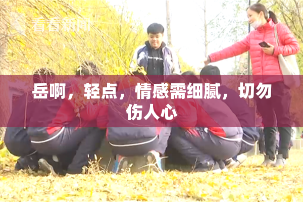 岳啊，轻点，情感需细腻，切勿伤人心