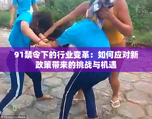 91禁令下的行业变革：如何应对新政策带来的挑战与机遇