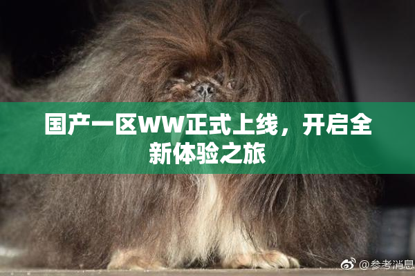 国产一区WW正式上线，开启全新体验之旅