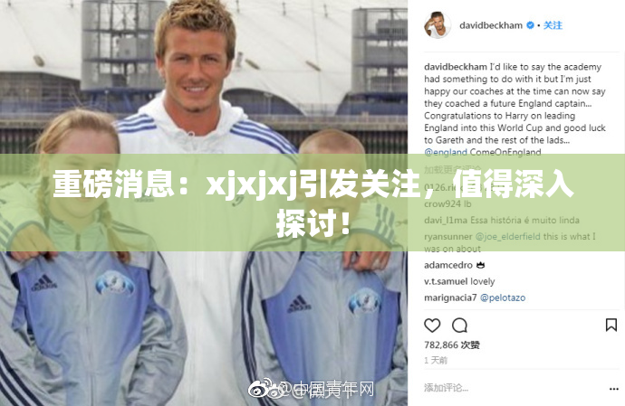 重磅消息：xjxjxj引发关注，值得深入探讨！