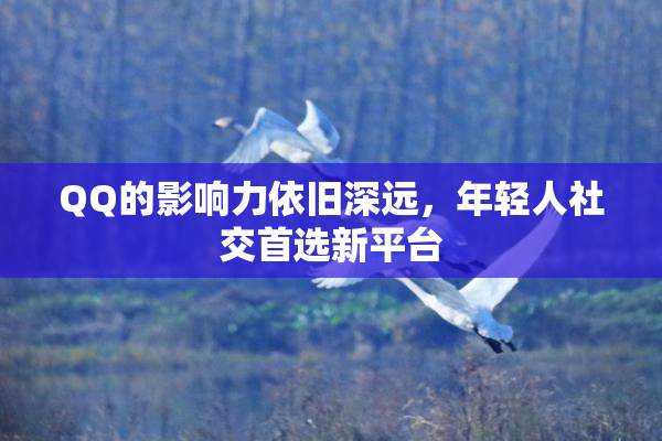 QQ的影响力依旧深远，年轻人社交首选新平台