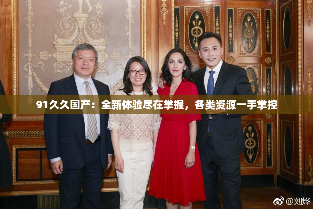 91久久国产：全新体验尽在掌握，各类资源一手掌控